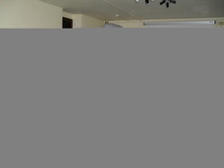 Conferenza di Bruno Pulcinelli: che fai, tu Luna, in ciel?