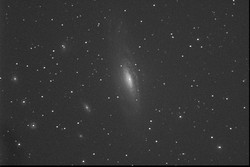 Questa immagine di NGC7331 in Pegaso &egrave; stata ottenuta da F. Anzellini e R. Haver sommando tra loro 4 pose da 60 secondi l'una con la CCD Pictor sul C8. Sono stati applicati vari filtri per mettere in risalto i dettagli.