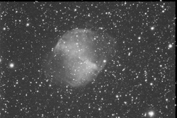 Questa immagine di M27 nella Volpetta &egrave; stata ottenuta da R. Haver sommando tra loro 8 pose da 60 secondi l'una con la CCD Meade sul C8 (F/6.5)