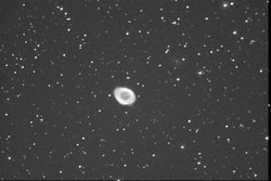 Questa immagine della nebulosa M57 nella Lira &egrave; stata ottenuta da R. Haver sommando tra loro 8 pose da 70 secondi l'una con la CCD Pictor sul C8 (F/6.5). Scala di 1.41sec/pixel e campo di 12'x18'