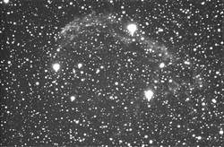 Questa immagine di NGC6888 &egrave; stata ottenuta da R. Haver sommando tra loro 8 pose da 70 secondi l'una con la CCD Pictor sul C8 (F/6.5). Scala di 1.41sec/pixel e campo di 12'x18'