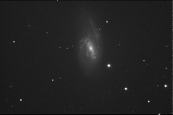 Immagine di M66. &egrave; la somma di 4x1min fatto con il C8 a F/6.5 e la CCD Meade Pictor 416XTE.
