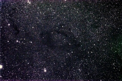Nebulosa Oscura B170 nel Cefeo