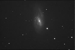 Immagine di M66. &egrave; la somma di 4x1min fatto con il C8 a F/6.5 e la CCD Meade Pictor 416XTE.